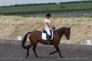 ISIS Dressage Challenge 2008